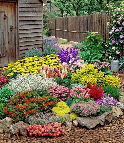 Großer staudengarten - großer,