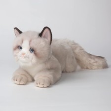 Stofftier Katze Ragdoll