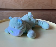 KIK okay Bär Teddy grün blau