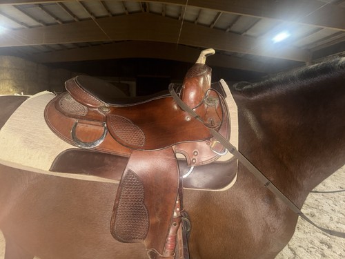 Westernsattel für pferd und - pferd,