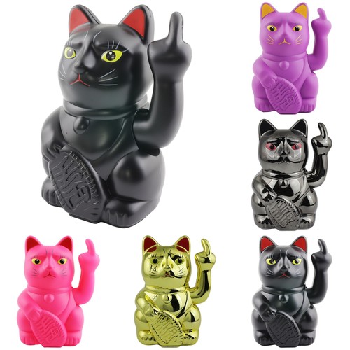 Glückskatze angry cat - glückskatze,