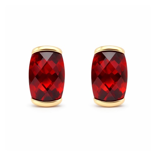 Granat ohrringe gelbgold - granat, 585