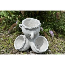 PFLANZTOPF PFLANZSCHALE aus