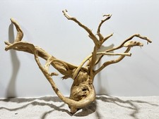 rote Moorwurzel Redwood