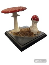 Antikes Lehrmodell Pilz Handbemalt Ca. 1900/30 Fliegenpilz Somso ?