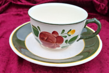 Villeroy & Boch  V & B Jumbotasse mit Untertasse Bauernblume Rar Selten 