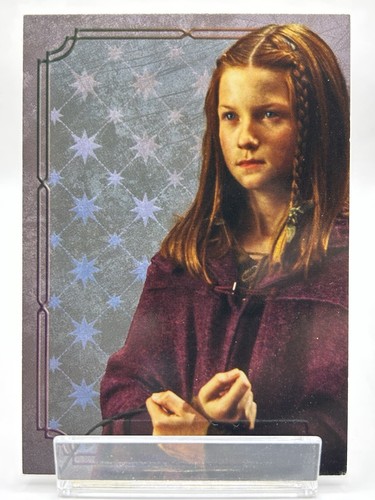Harry potter ginny weasley - potter,