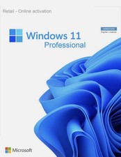 Windows 11 Professional