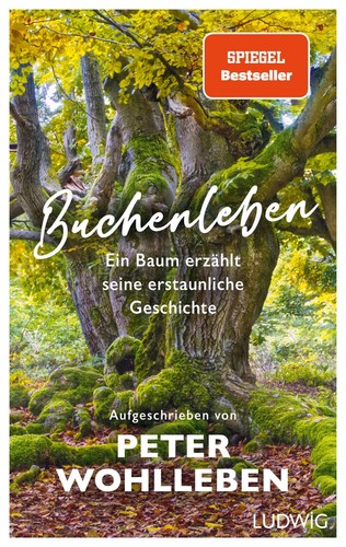 Buchenleben ein baum - baum, erzählt
