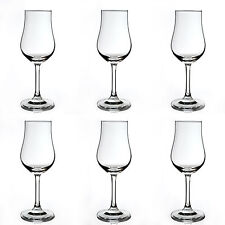 6 Stück Destillatglas Classic mit Fuß Nosing Glas Whiskey Stölzle Geschenk