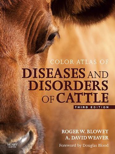Color atlas diseases and - of,