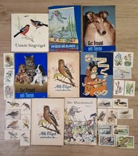 Konvolut Köllnflocken