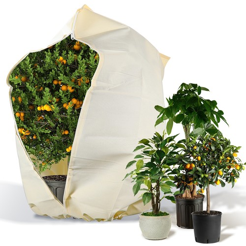Winterschutz frostschutz - winterschutz,