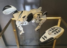 Vintage Roboter-Hund: WowWee
