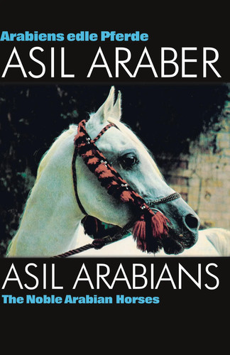 Asil club araber - |,