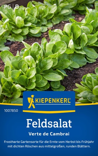 Feldsalat verte cambrai - verte, de