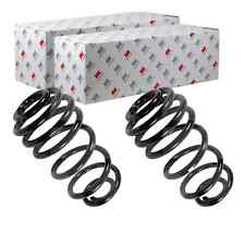 2X NK FAHRWERKSFEDERN HINTEN