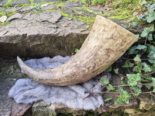 Trinkhorn natur 5 l und - trinkhorn,