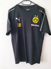 BVB Borussia Dortmund training