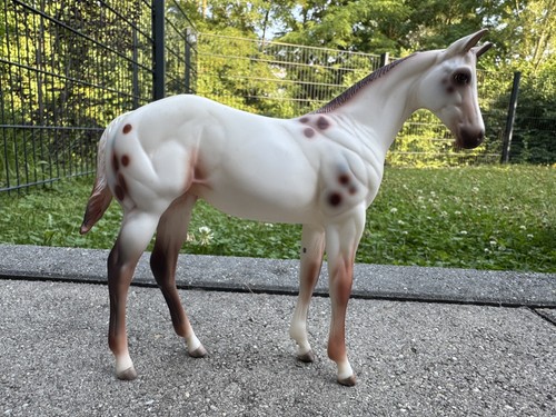 Peter stone pferd - weanling, wie