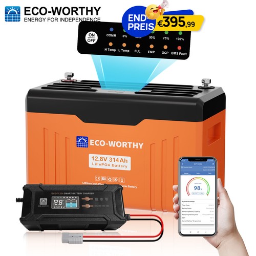 Eco worthy 12v - 12v, lifepo4