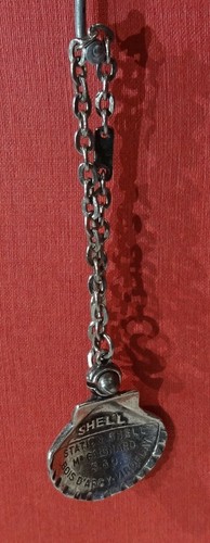 Original alter shell muschel - original,