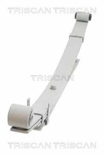 TRISCAN Federnpaket 8765 43004