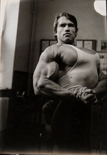 Arnold Schwarzenegger Poster