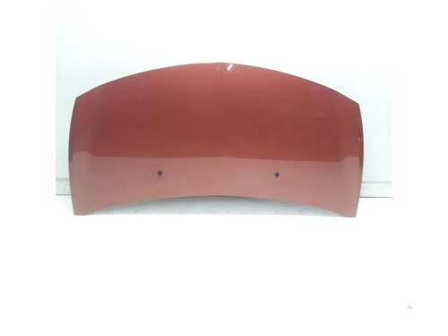 Renault clio motorhaube 2007 - renault,