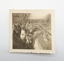 Foto - Soldat - Uniform - Schiffchen - RAD - Schützengraben - 2. Weltkrieg
