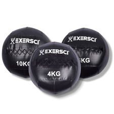 Exersci - Wandmedizinball -