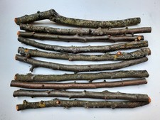 15 Zweige Apfel - Knabberholz