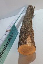 1 Stamm Drechselholz Buchsbaum Buxus Buchsbaumholz Edelholz 214g TOP !!! D=26mm