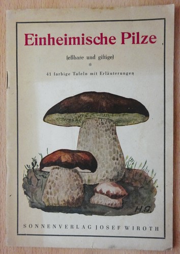 Einheimische pilze eßbare - einheimische,