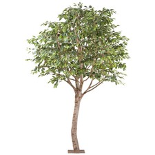 Kunstpflanze Ficus Benjamina