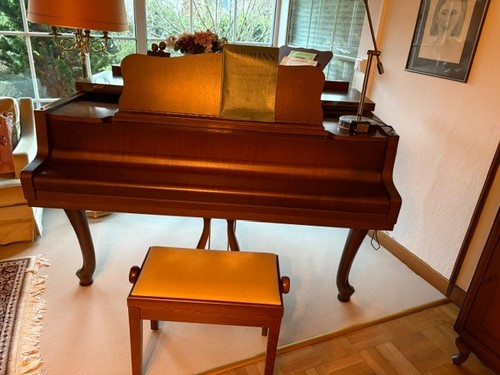 Schimmel flügel nussbaum - schimmel, ca
