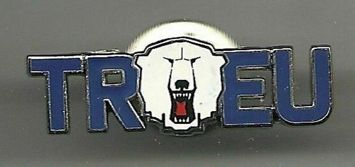 Eishockey pin eisbären - pin,