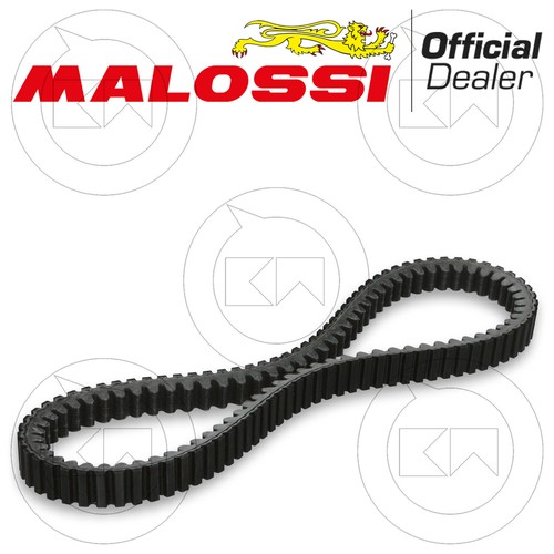 Malossi 6115666 keilriemen k - keilriemen, x