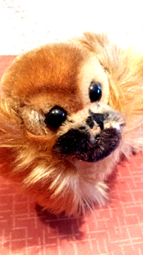 Steiff pekinese sehr - pekinese, gut