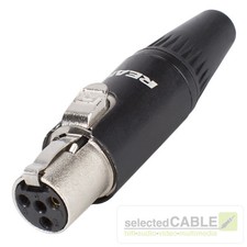 REAN Mini-XLR 4-Pol Stecker