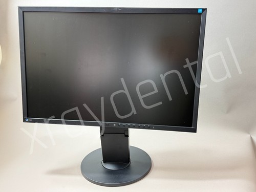 Lcd monitor eizo flexscan - monitor,