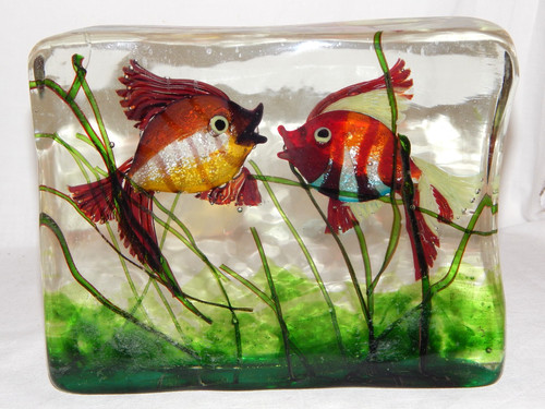 Cenedese murano glas aquarium - glas,