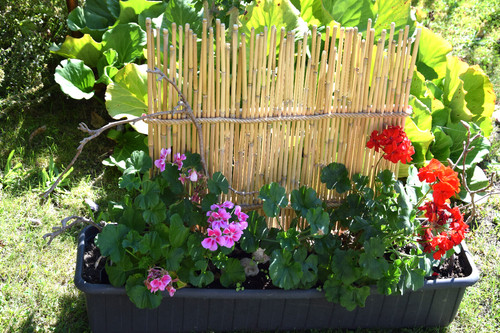 Bambus rankhilfe blumenkasten - rankhilfe,