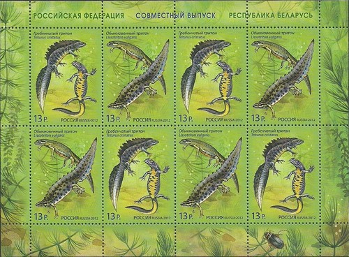 Russia russland 2012 klb - 2012,