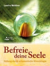 Schamanische Kinesiologie - Praxisbuch zur Befreiun... | Buch | Zustand sehr gut