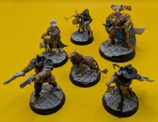 Warhammer AoS/ Warcry Warband