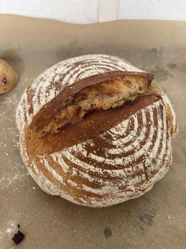Triebstarker sauerteigstarter - triebstarker,