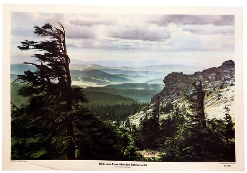 1953 blick vom arber - blick,