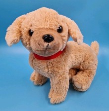 Hund labrador retriever mit - hund,