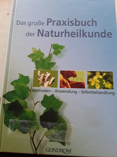 Das große praxisbuch der - große,